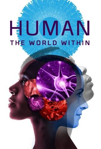 Human: The World Within