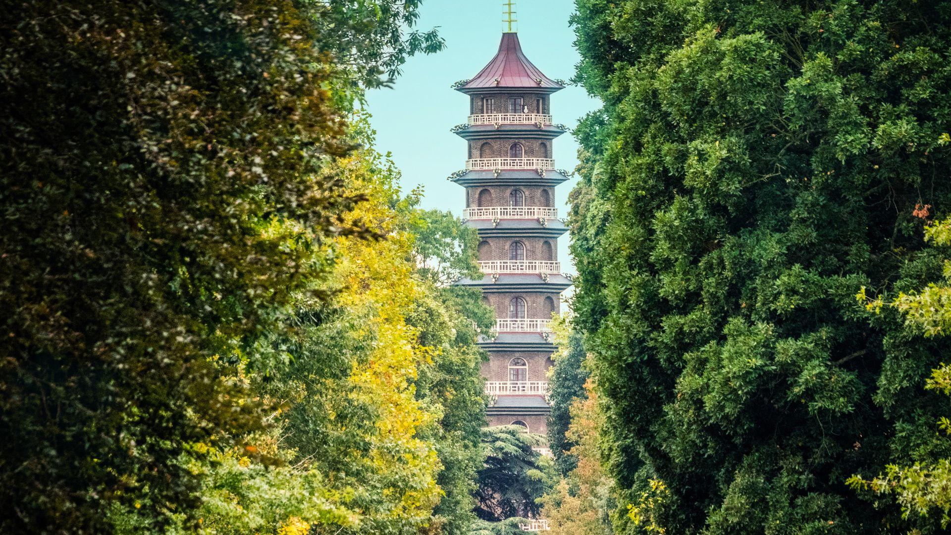 Kew Gardens: A Year In Bloom