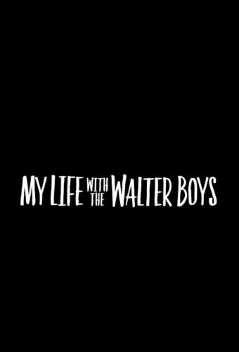 My Life With the Walter Boys
