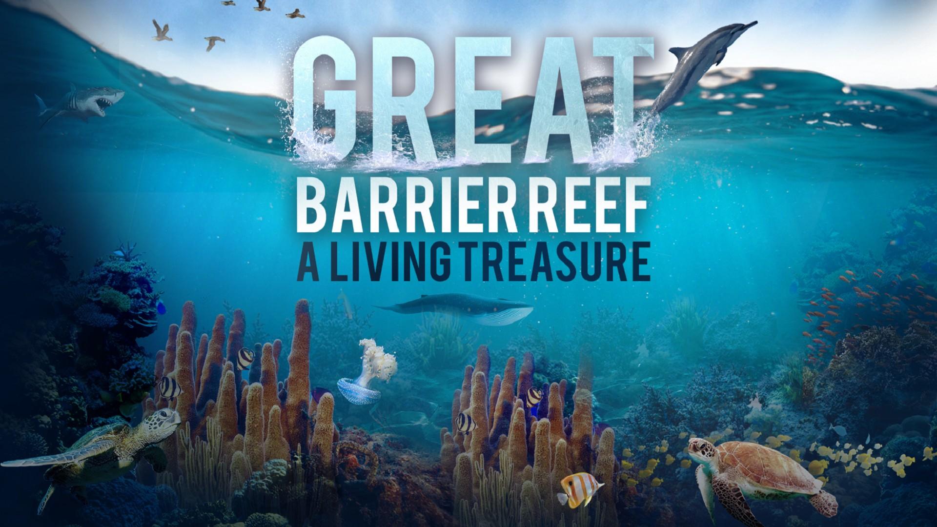 Great Barrier Reef: A Living Treasure