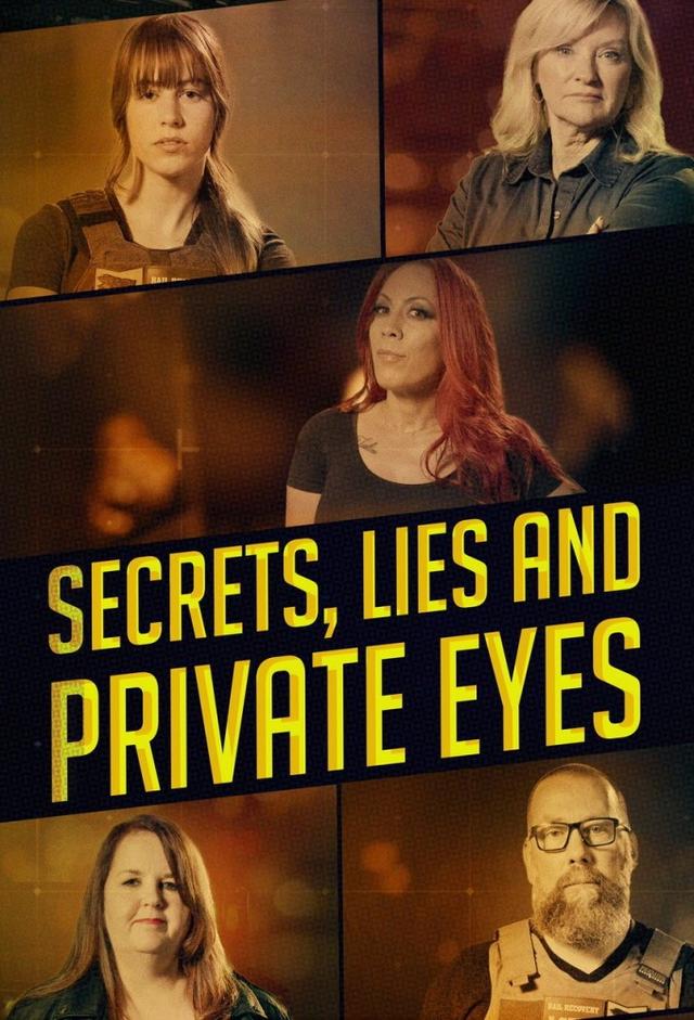 Secrets, Lies and Private Eyes