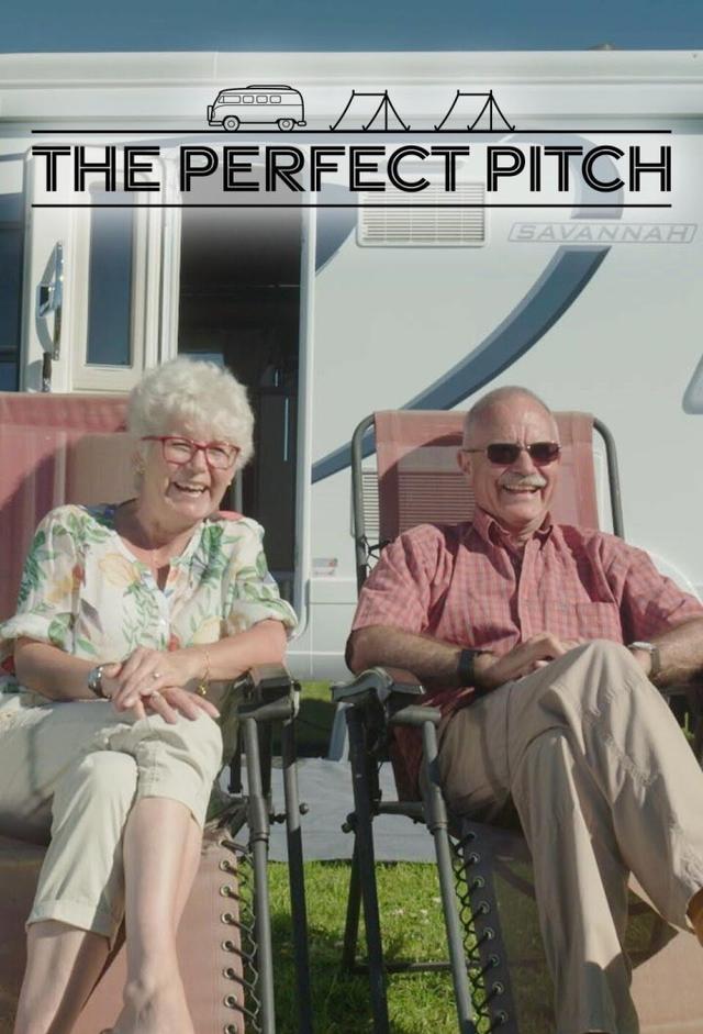 The Perfect Pitch