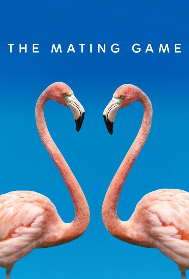 The Mating Game (2021)