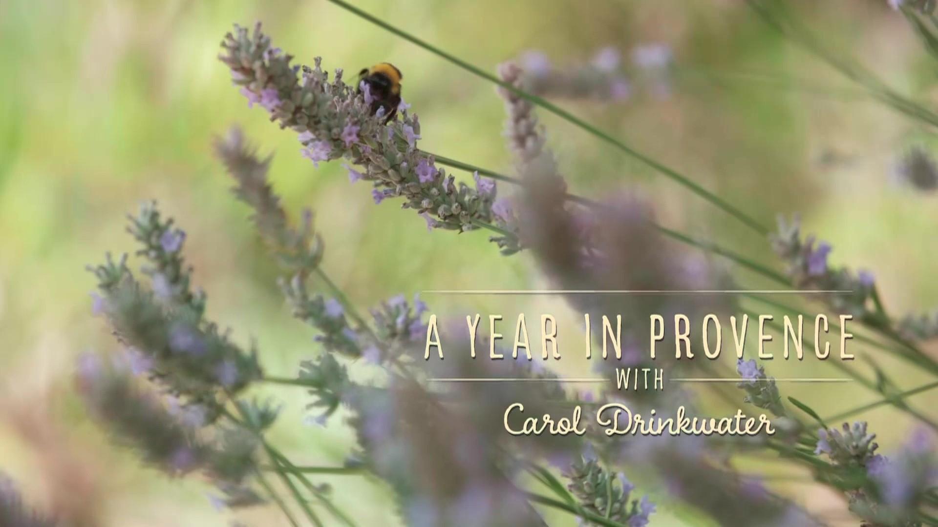 A Year In Provence with Carol Drinkwater