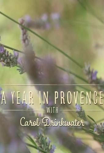 A Year In Provence with Carol Drinkwater