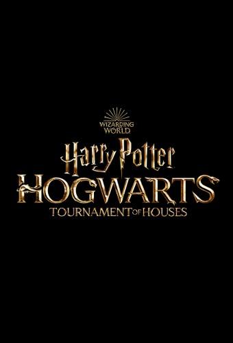 Harry Potter: Hogwarts Tournament of Houses