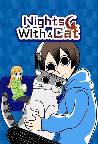 Nights with a Cat