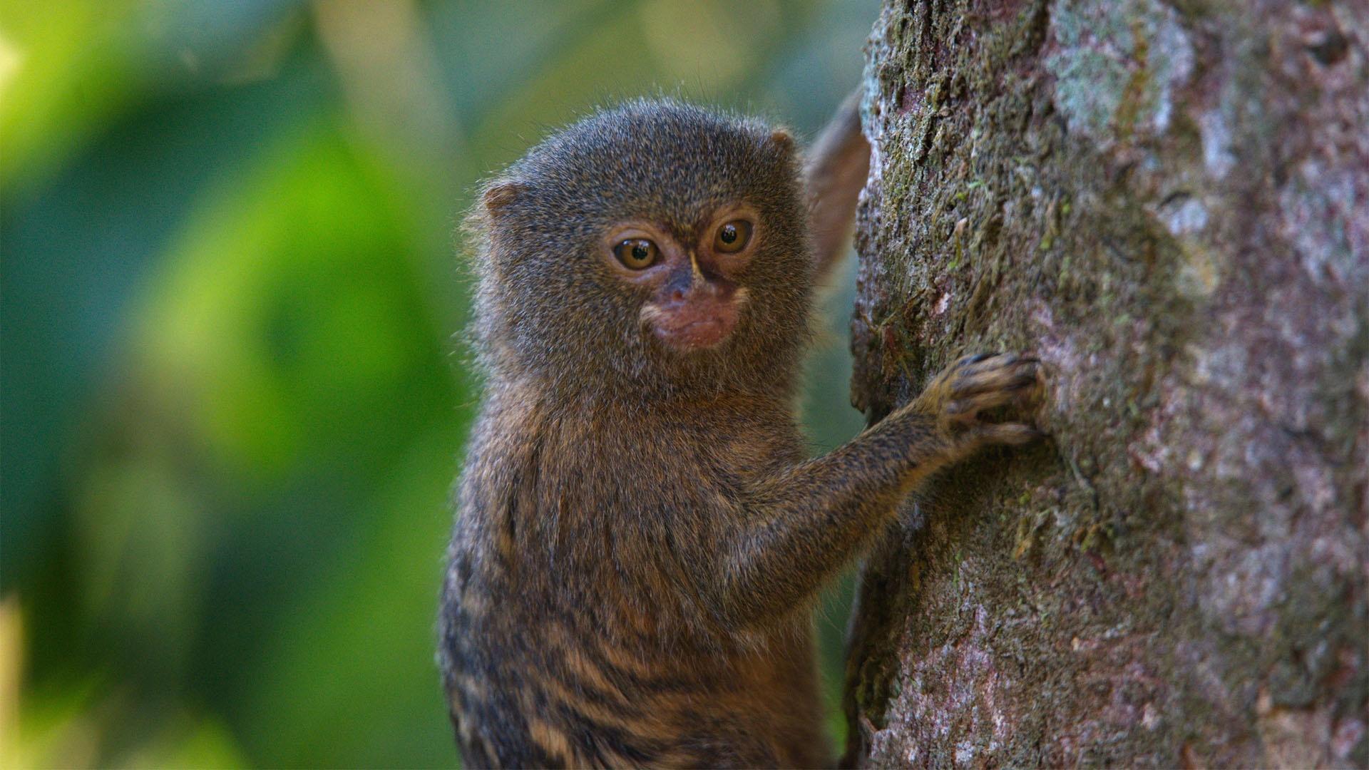 Colombia: Wild and Free