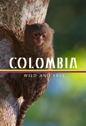 Colombia: Wild and Free