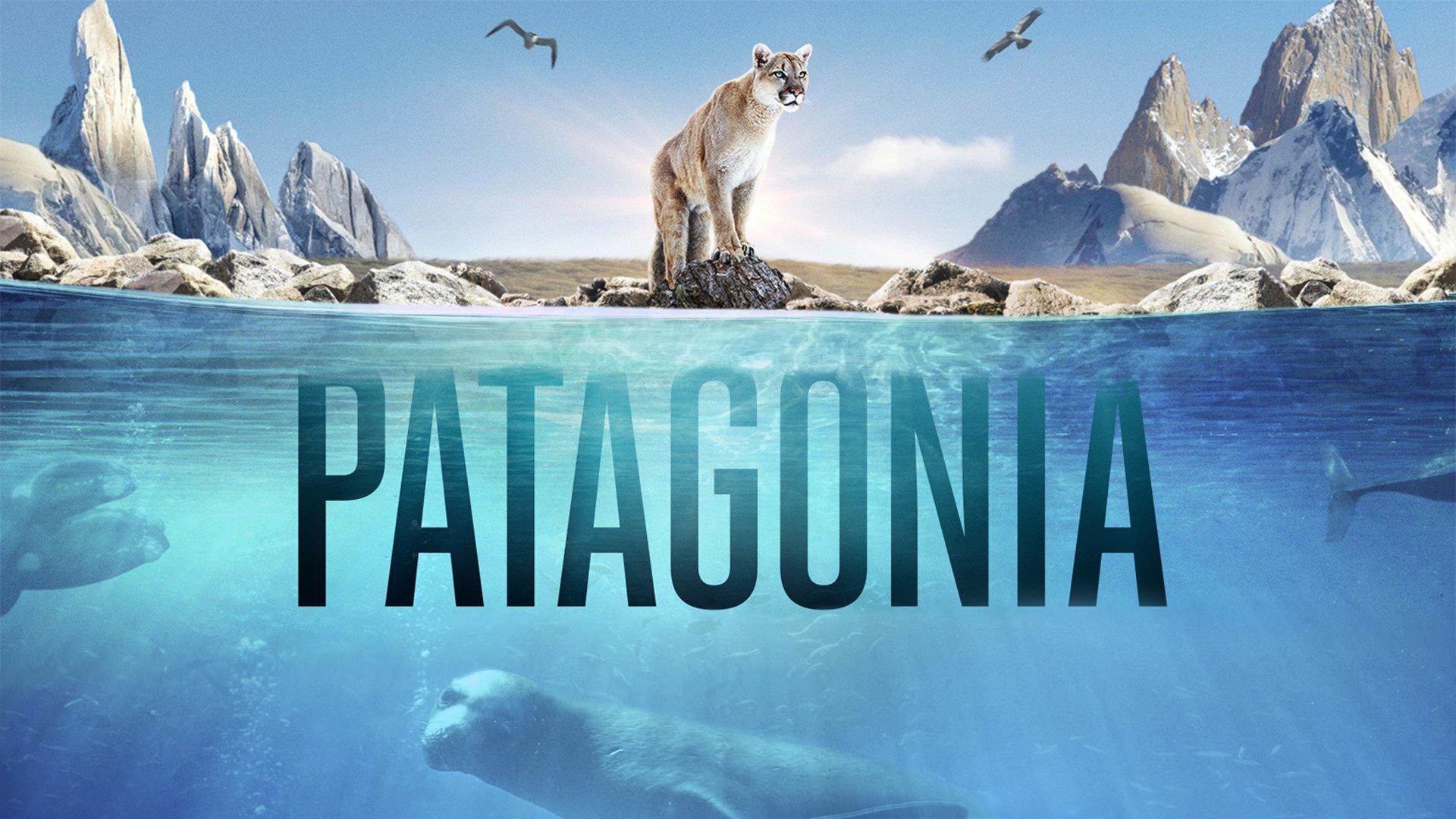 Patagonia: Life on the Edge of the World