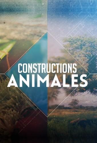 Constructions animales