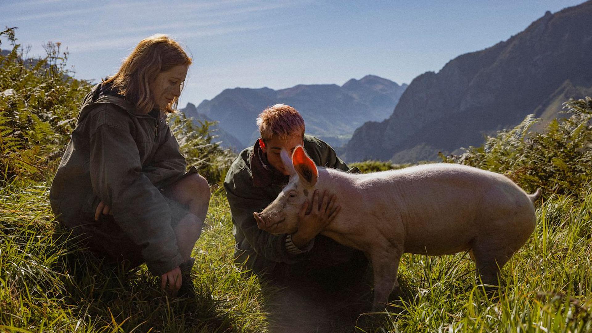 Nina and the Pig