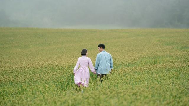 When Life Gives You Tangerines