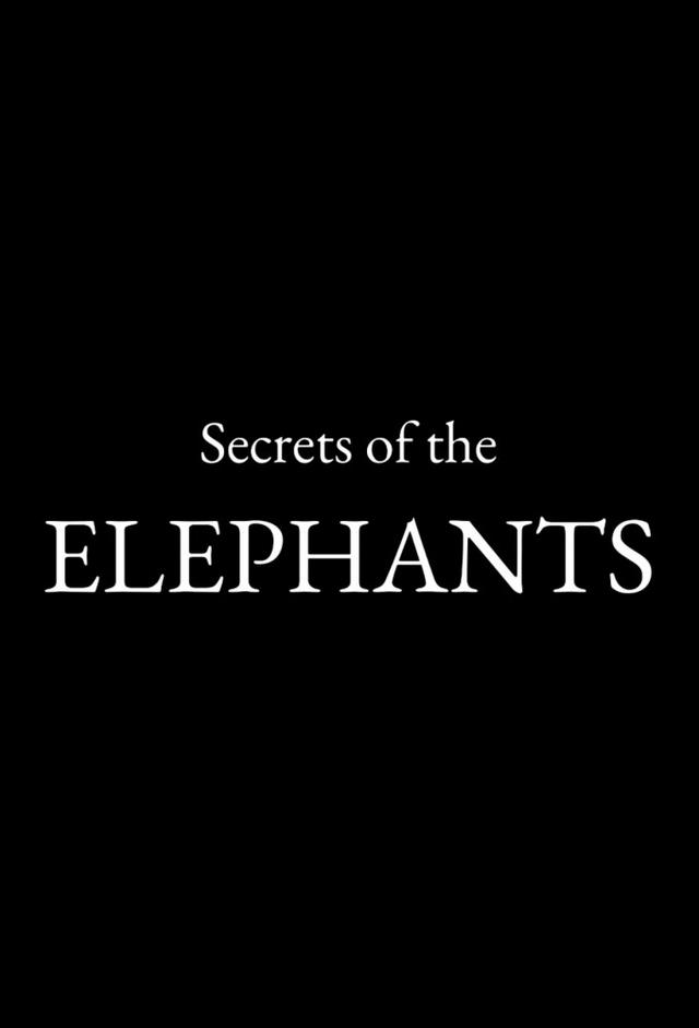 Secrets of the Elephants