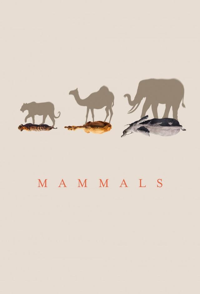 Mammals (2024)