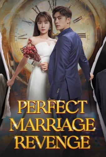Perfect Marriage Revenge