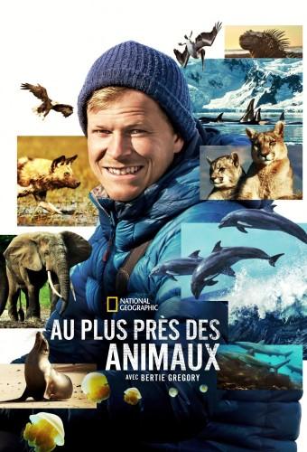 Animals Up Close with Bertie Gregory