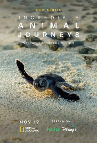 Incredible Animal Journeys (2023)
