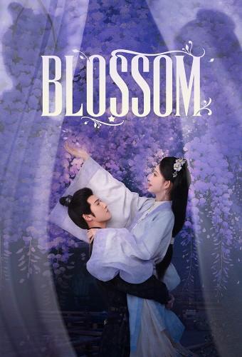 Blossom (2024)