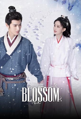 Blossom (2024)