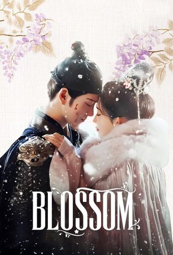 Blossom (2024)