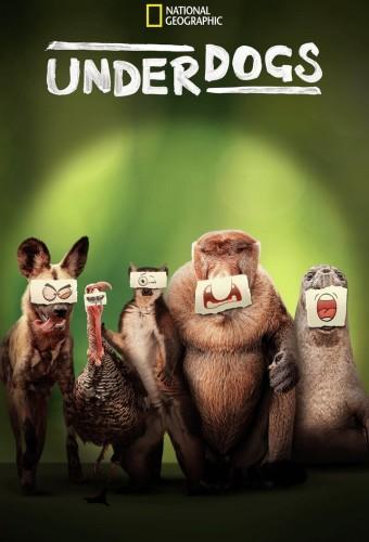 Underdogs (2025)