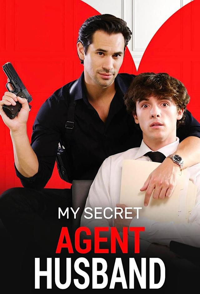 My Secret Agent Husband