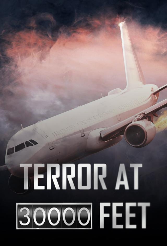 Terror at 30,000 Feet