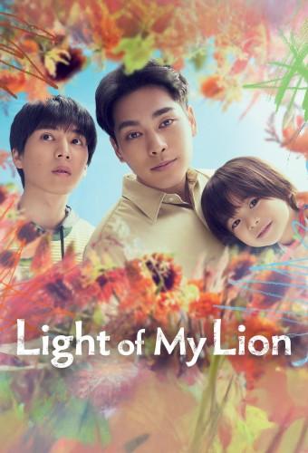 Light of My Lion
