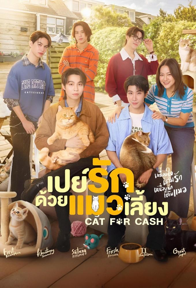 Cat for Cash
