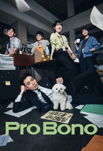 Pro Bono (2025)