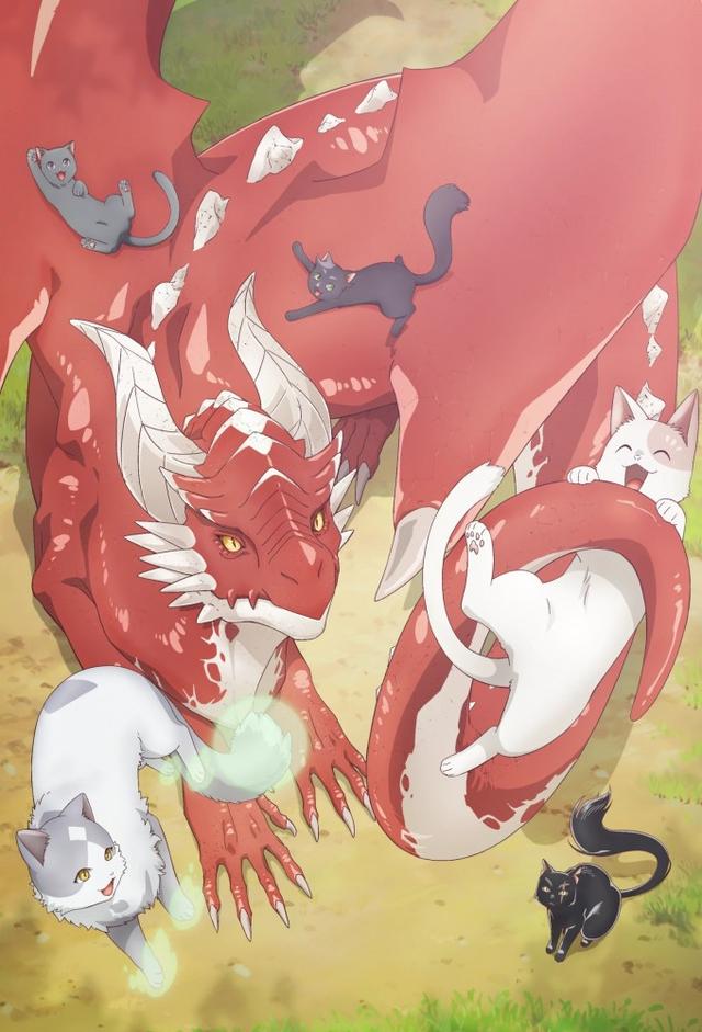 The Cat and the Dragon