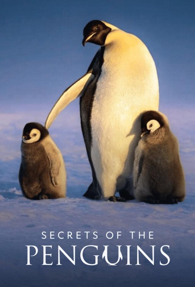 Secrets of the Penguins