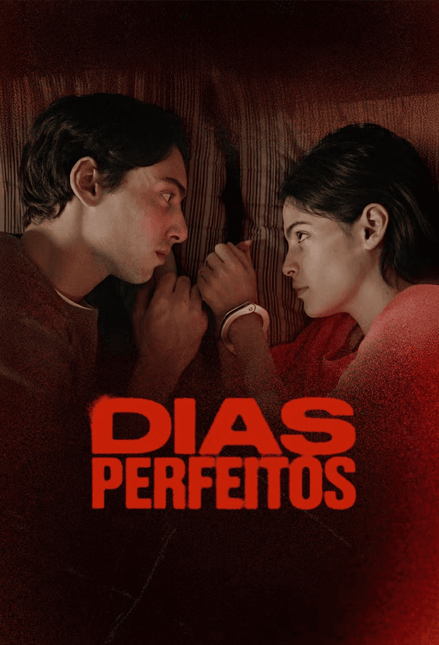 Perfect Days