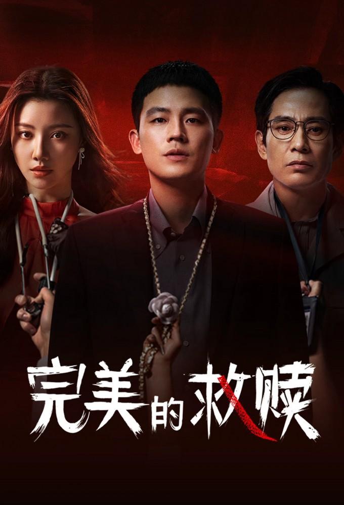 The Perfect Suspect (2025)