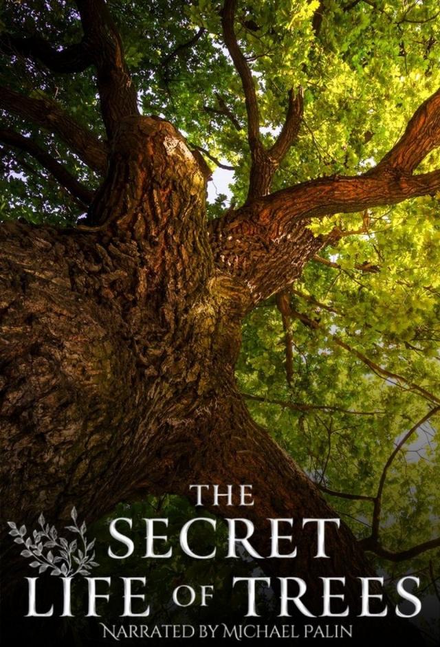 The Secret Life of Trees