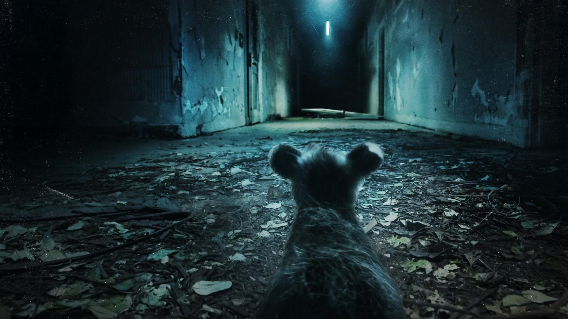 Nightmares of Nature (2025)