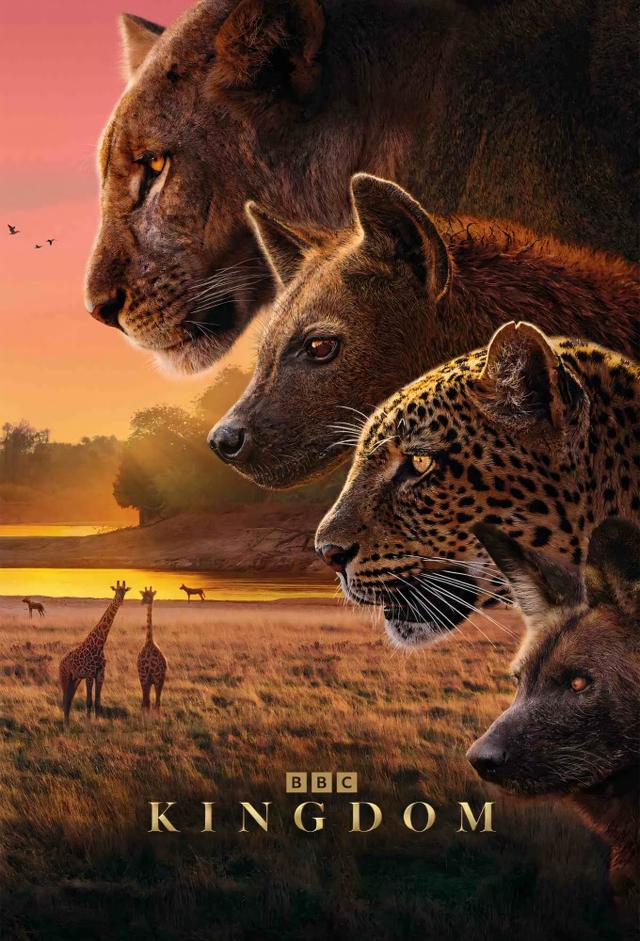 Kingdom (2025)