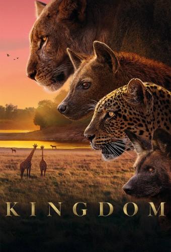 Kingdom (2025)