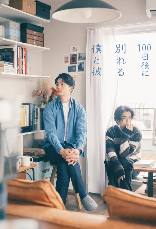 The Boy and I Who Will Break Up in 100 Days