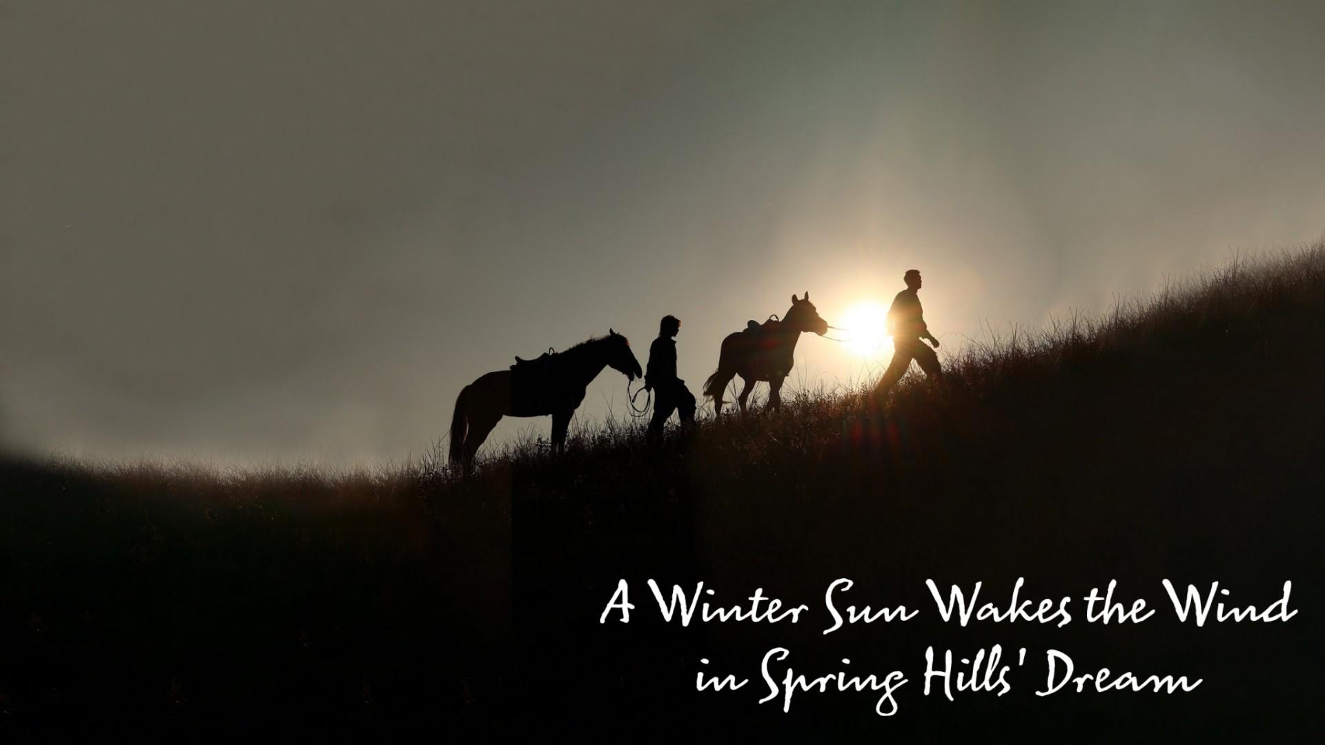 A Winter Sun Wakes the Wind in Spring Hills' Dream