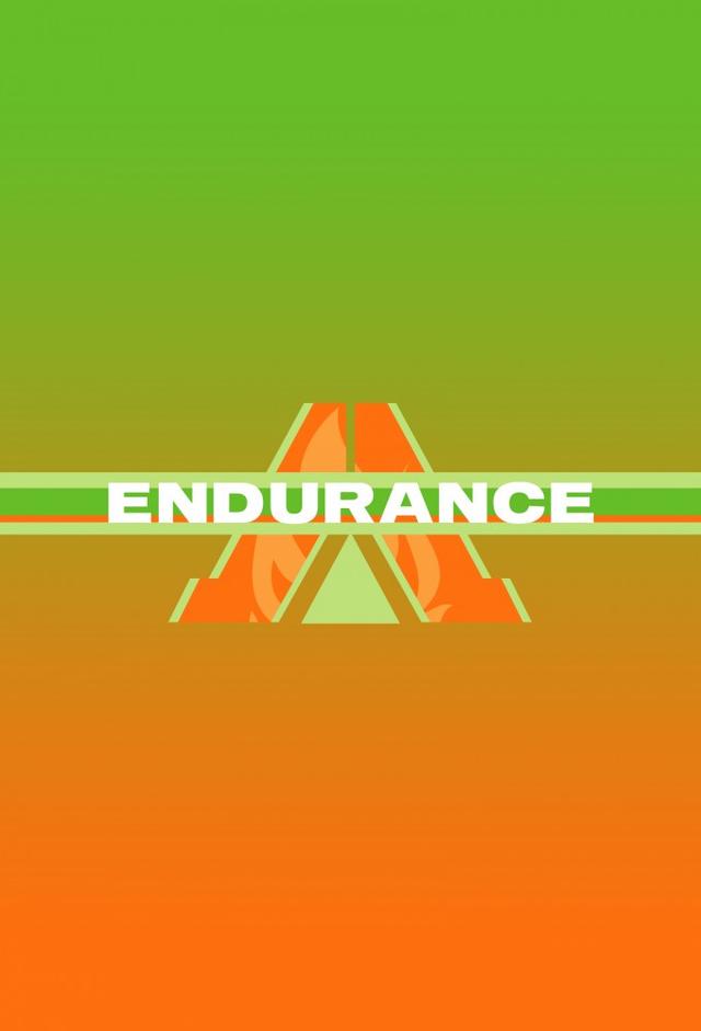 Endurance