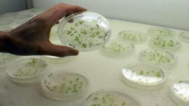 L'insostenibile brevetto