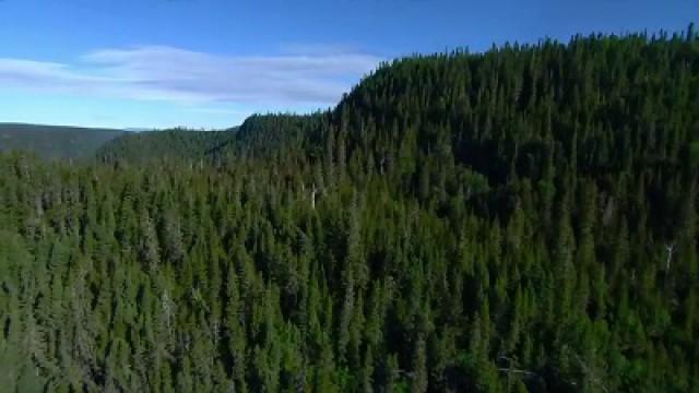 Plan Nord sans réserve, Chronique d'un dérapage