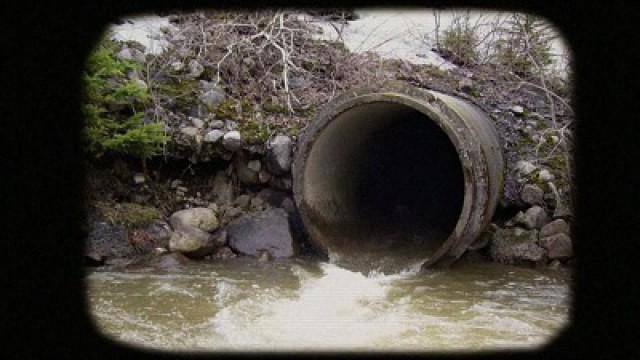 Les deux pieds dedans