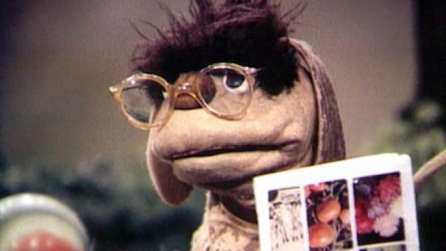 Moppi mit der Brille