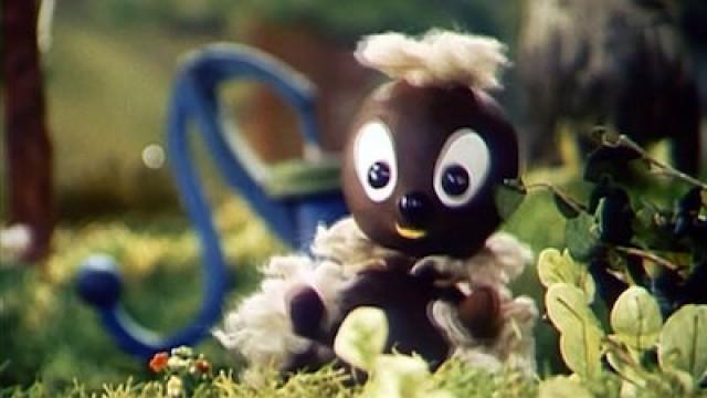 Als Moppi einen Frühlingstag verschlief