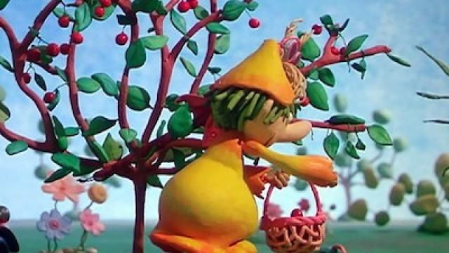 Pondorondo will Kirschen pflücken