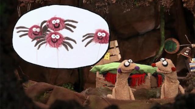 Die Spinnen im Wanderurlaub