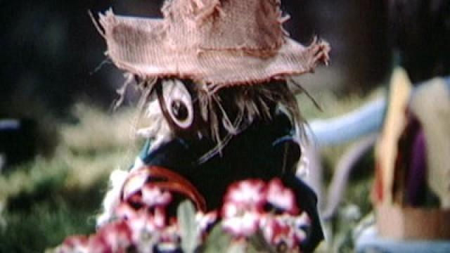 Pitti und die Indianerhauben